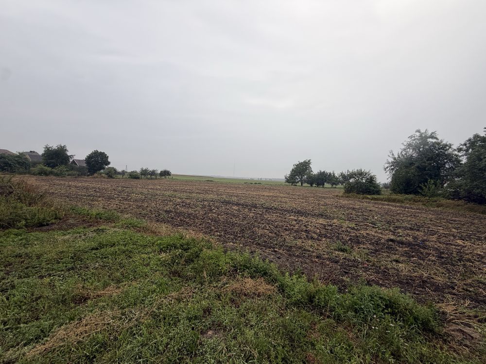 Działka rolno-budowlana Chrzelice. Zdjęcie 4