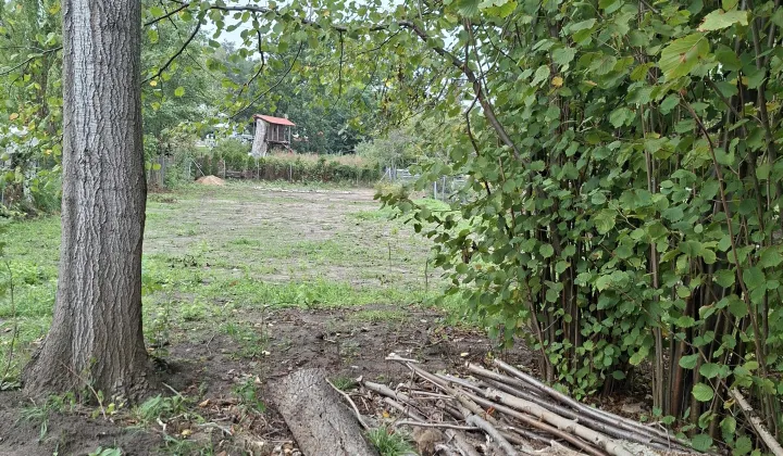 Działka rolno-budowlana Warszawa Wesoła, ul. Mazowiecka