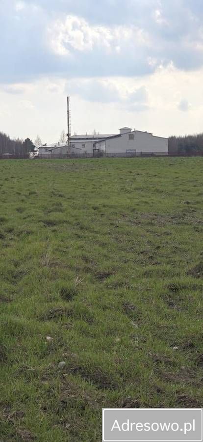 Hala/magazyn Guzów-Kolonia. Zdjęcie 5