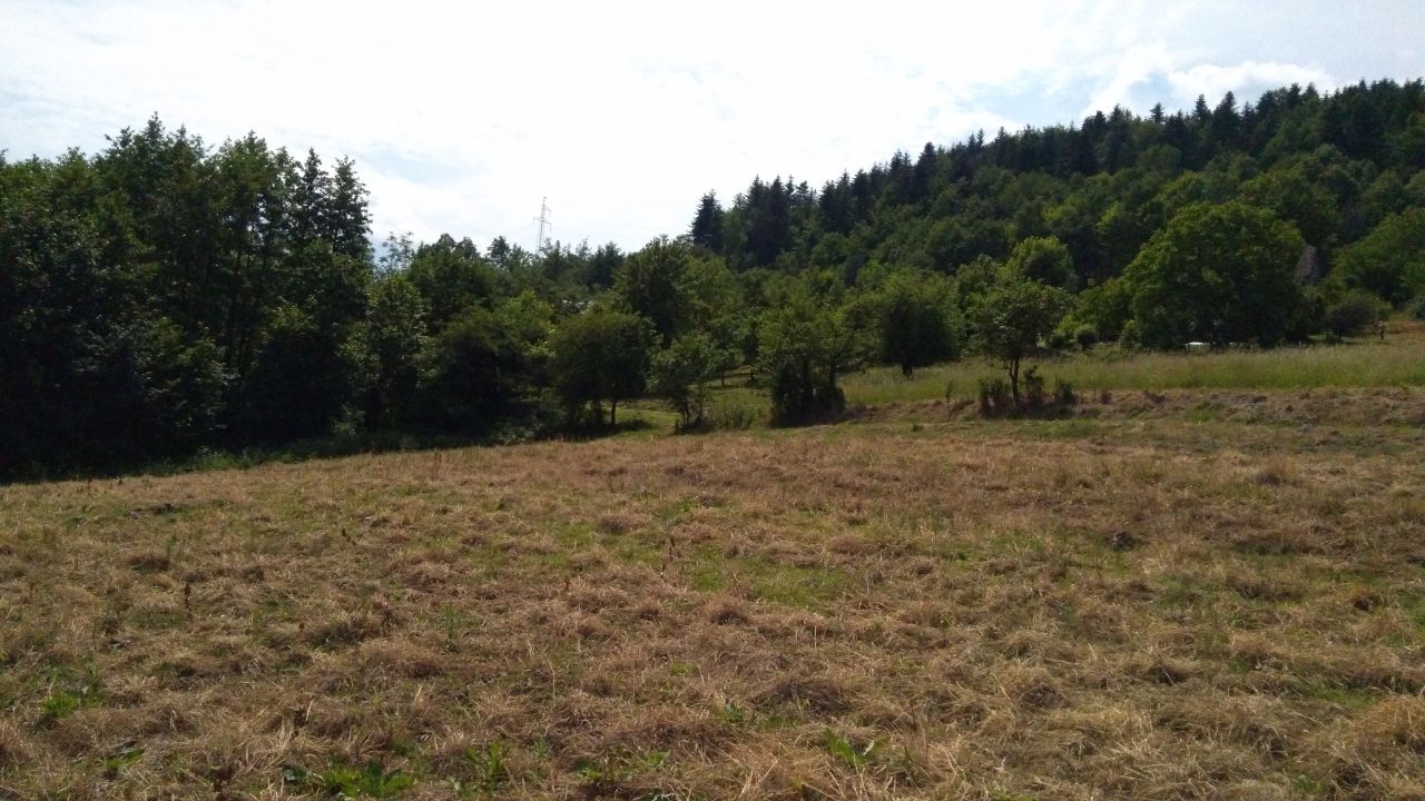 Działka inna Gorzeń Górny. Zdjęcie 2