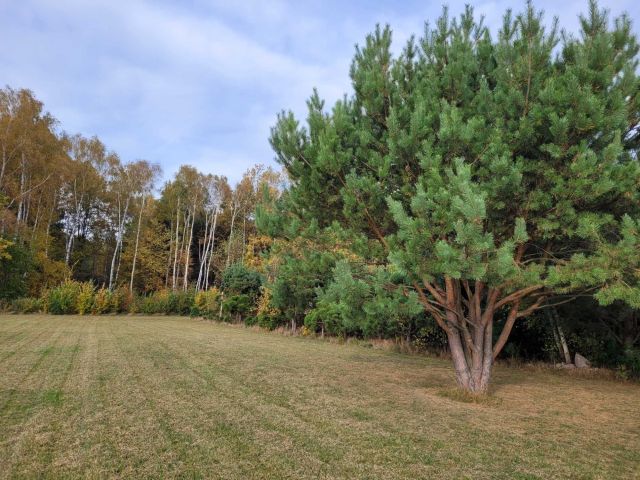 Działka budowlana Kałduny, ul. Kazimierza Wielkiego. Zdjęcie 1
