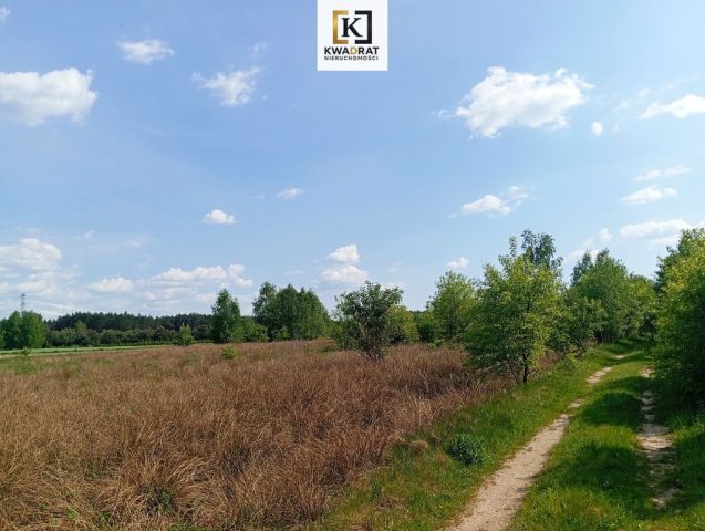 Działka rolno-budowlana Wólka Piecząca. Zdjęcie 5