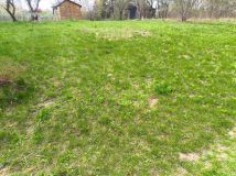 Działka rod Elizówka. Zdjęcie 1