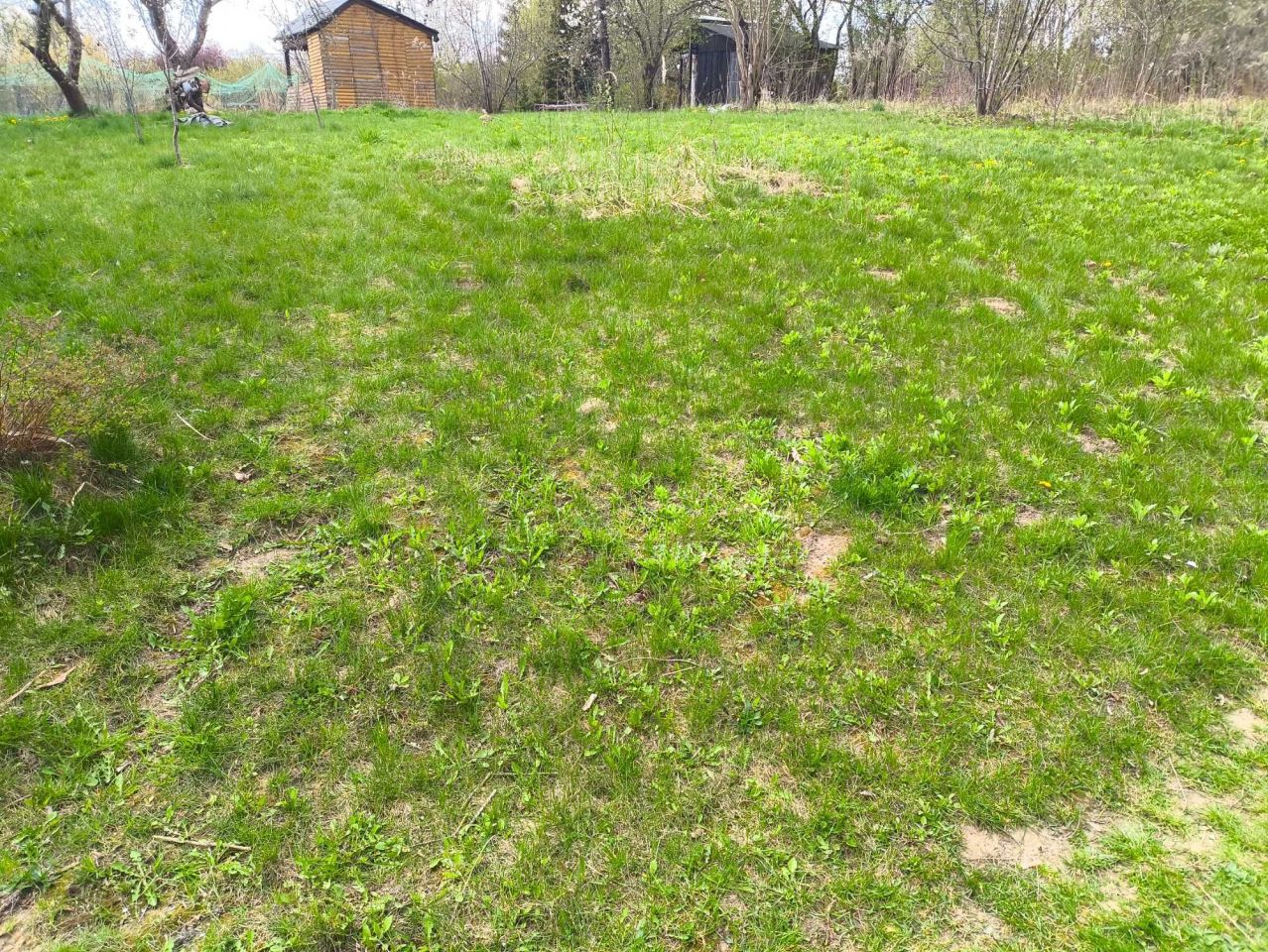 Działka rod Elizówka. Zdjęcie 2