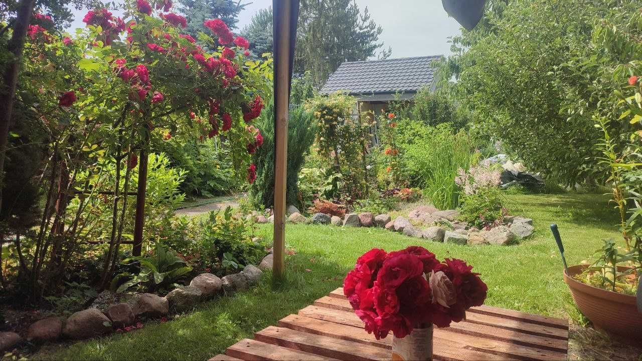 Działka rod Elbląg. Zdjęcie 4