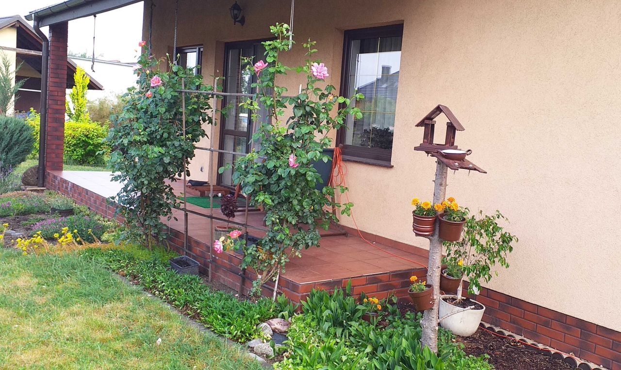 dom wolnostojący, 6 pokoi Mianowice. Zdjęcie 6