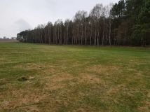 Działka rolna Sierosławek. Zdjęcie 3