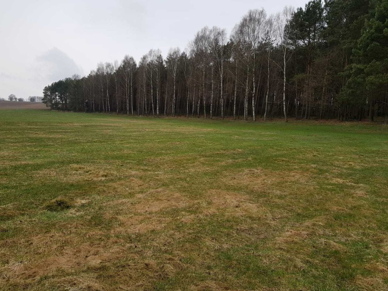 Działka rolna Sierosławek. Zdjęcie 4