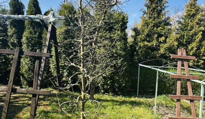 Działka rod Gostynin Rataje, ul. Kowalska