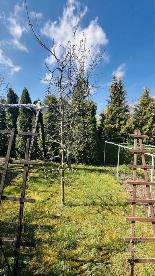 Działka rod Gostynin Rataje, ul. Kowalska