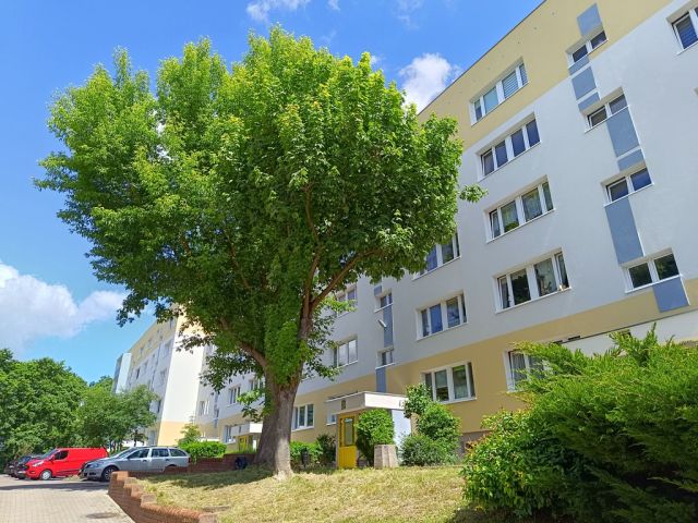 Mieszkanie 2-pokojowe Gryfino, ul. Jarosława Iwaszkiewicza. Zdjęcie 16