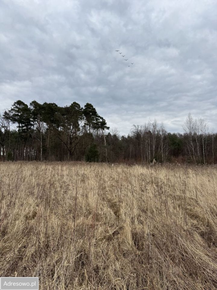 Działka budowlana Dębnik. Zdjęcie 17