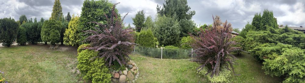 dom letniskowy Żerniki. Zdjęcie 1