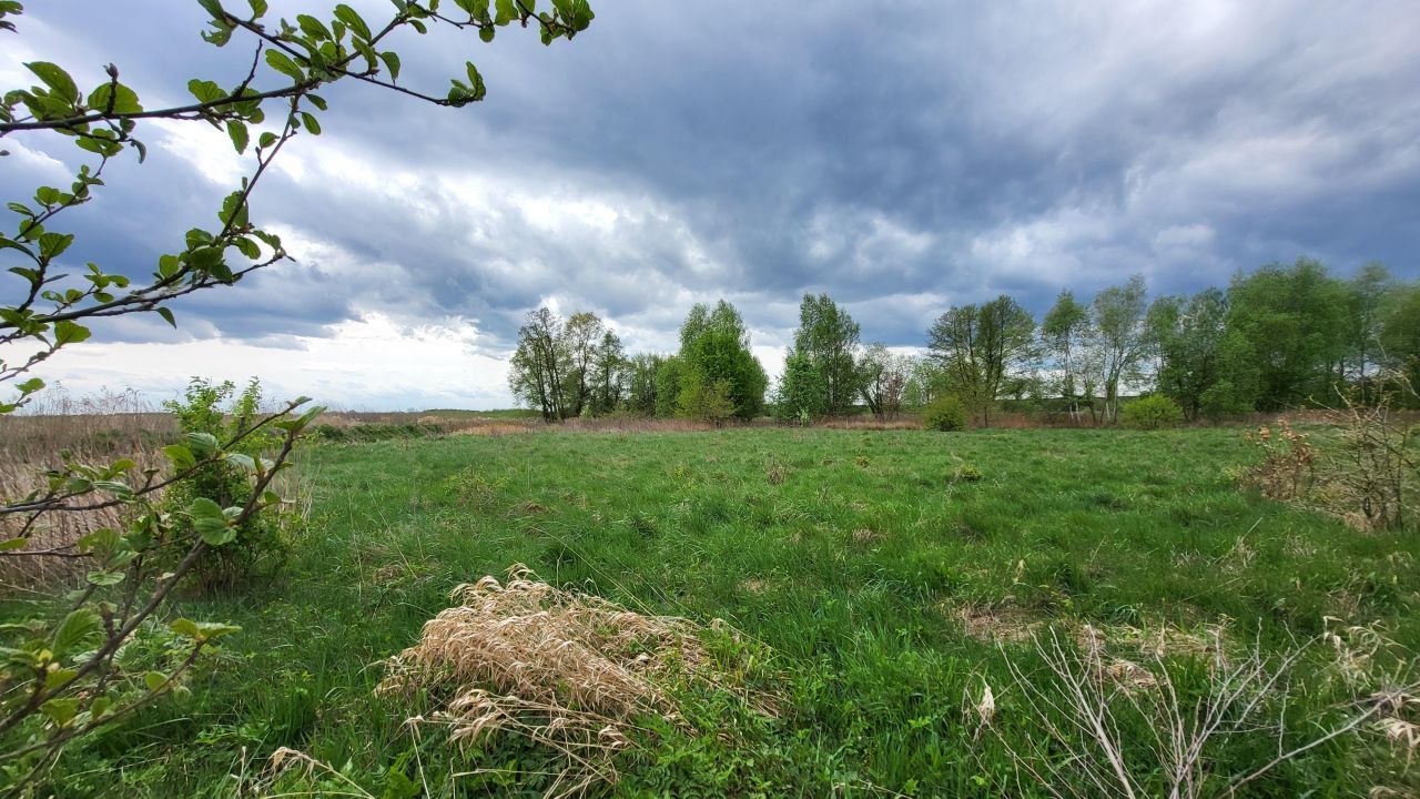 Działka budowlana Górzyn. Zdjęcie 11