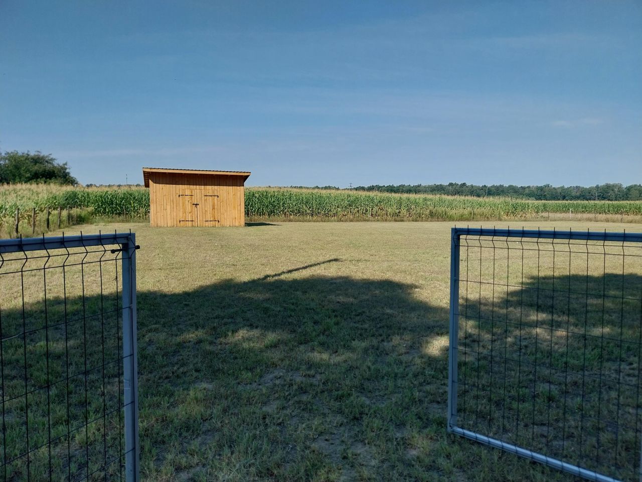 Działka budowlana Miedzna, Kolonia. Zdjęcie 1