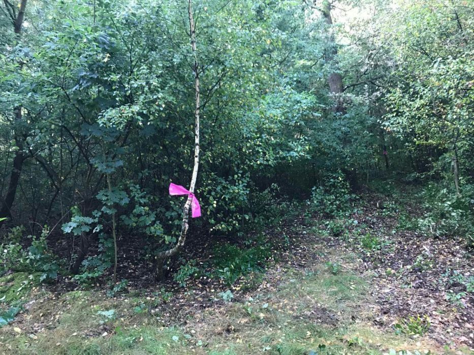 Działka budowlana Dobrogosty. Zdjęcie 6