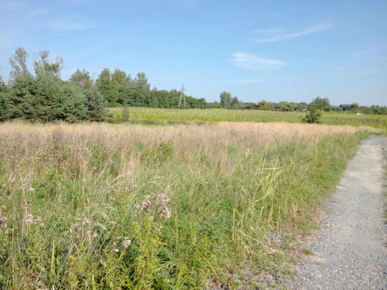 Działka budowlana Opole, ul. Szkolna