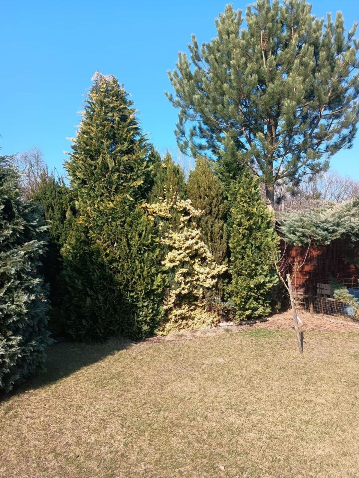 Działka rod Goleniów, ul. Wojska Polskiego. Zdjęcie 6