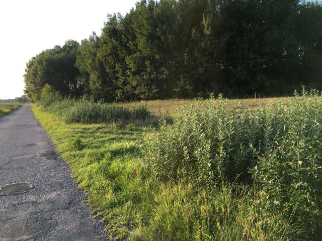 Działka budowlana Krasnołęka. Zdjęcie 1