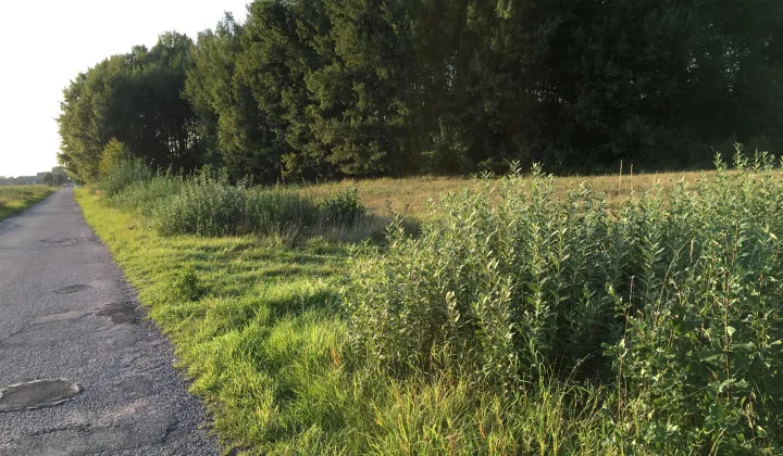 Działka budowlana Krasnołęka