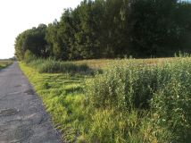 Działka budowlana Krasnołęka