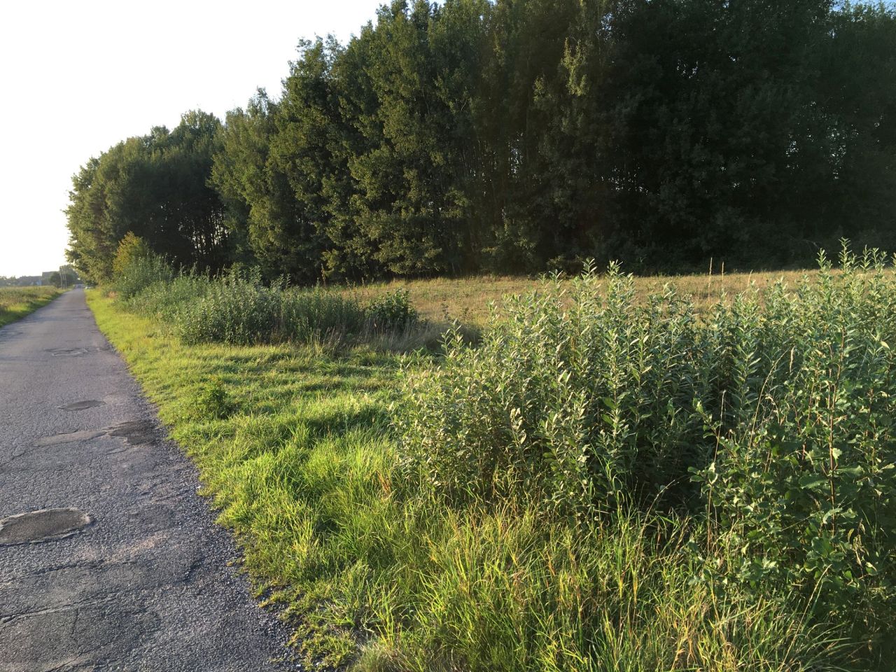 Działka budowlana Krasnołęka