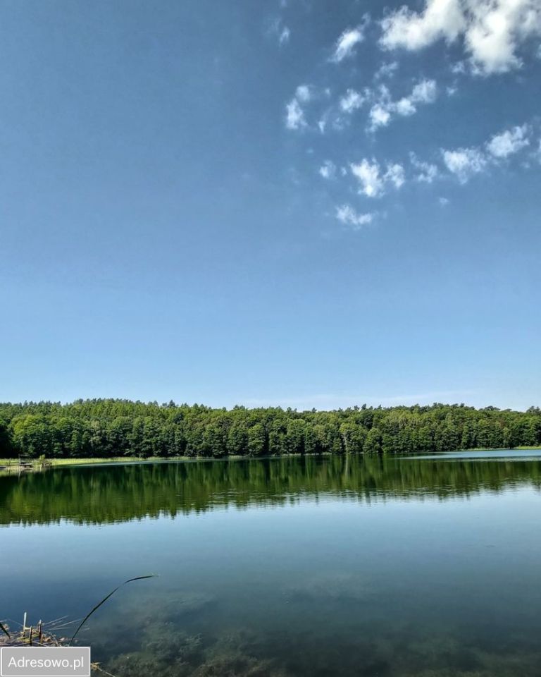 Działka rekreacyjna Ostrowite Wronka. Zdjęcie 7