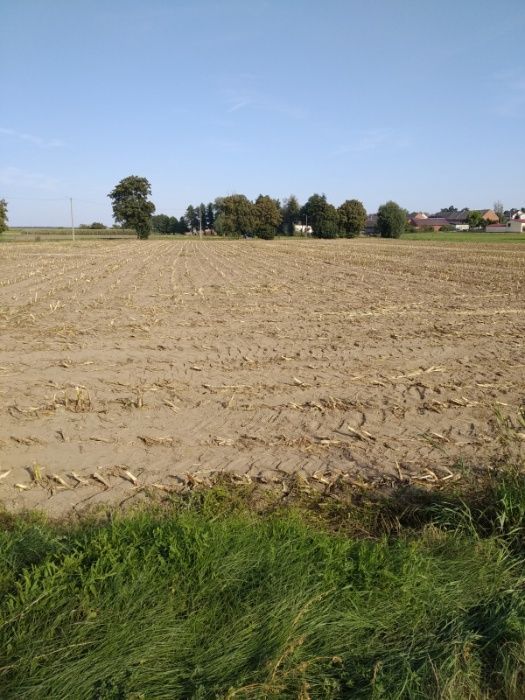 Działka budowlana Tomnice, ul. Łąkowa. Zdjęcie 2