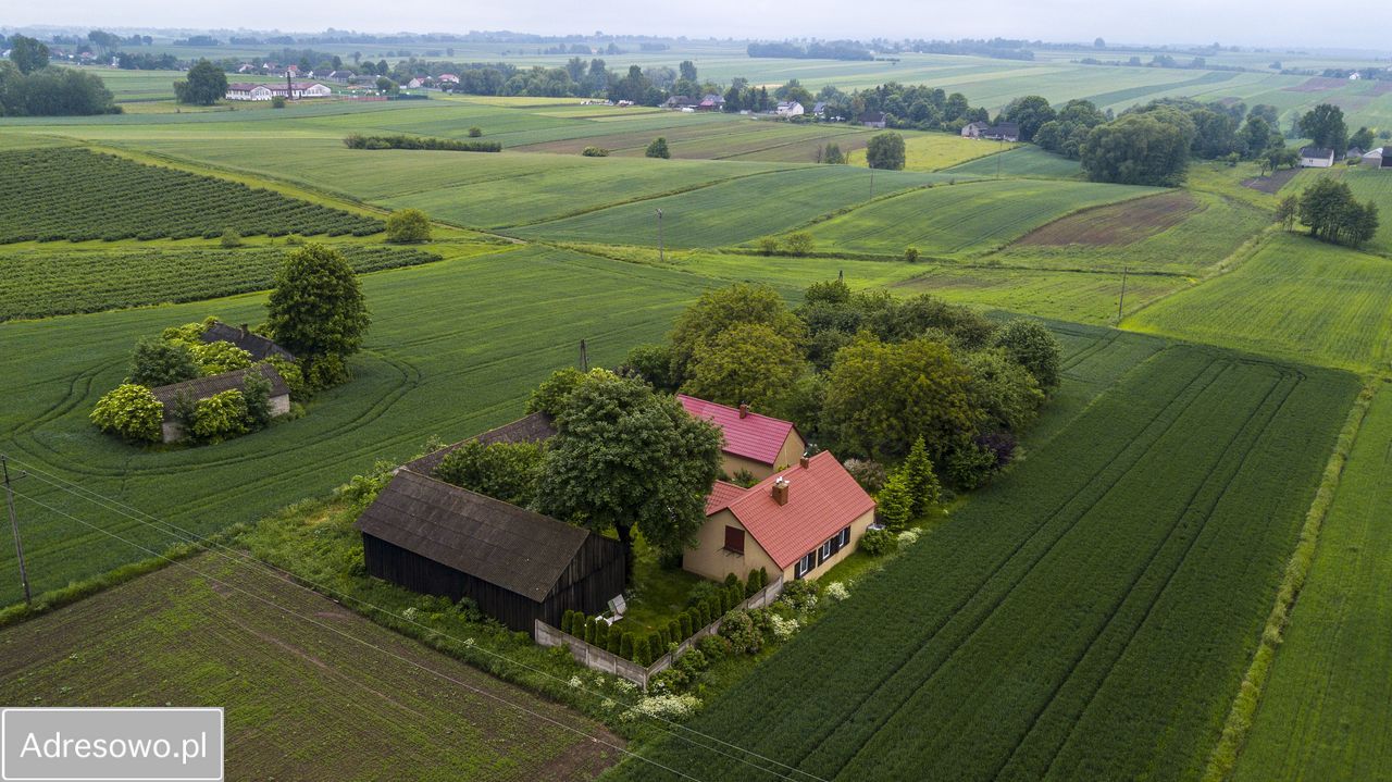 siedlisko, 3 pokoje Boleszyn Boleszyn-Kolonie. Zdjęcie 6