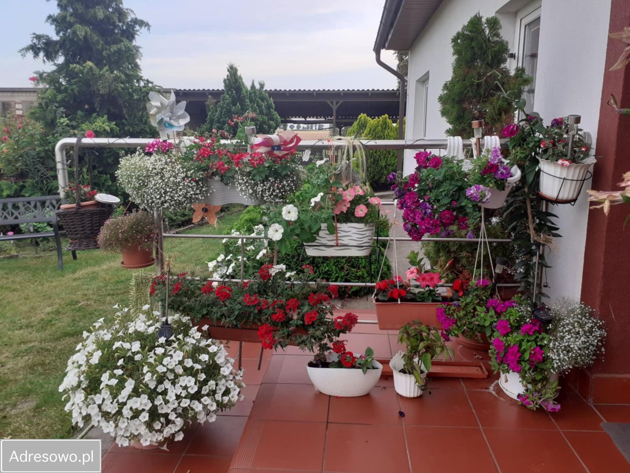 siedlisko Taszewskie Pole. Zdjęcie 8