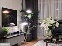 Mieszkanie 3-pokojowe Warszawa Śródmieście, ul. Chmielna. Zdjęcie 2