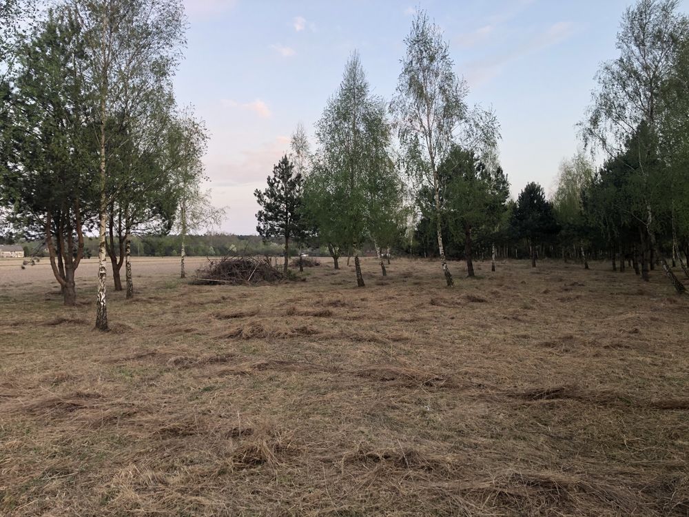 Działka siedliskowa Ciepłe Pierwsze, ul. Polnych Kwiatów. Zdjęcie 7