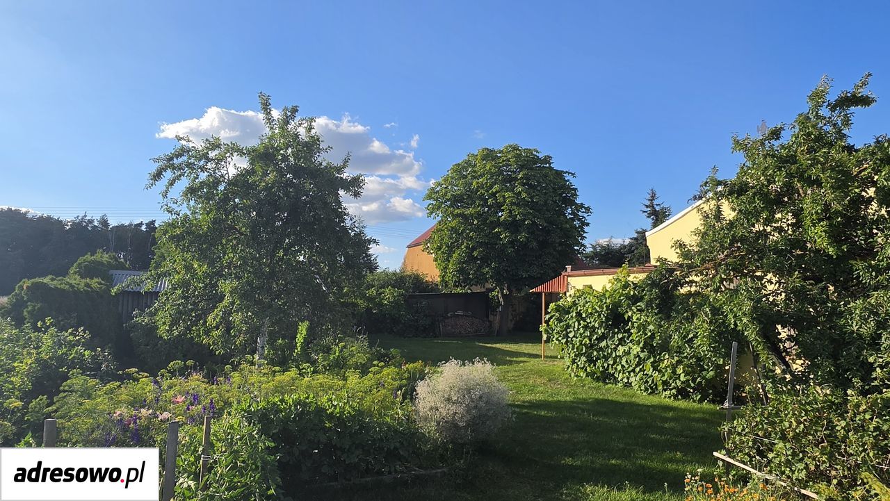 Działka rolno-budowlana Będlewo, ul. Wiejska. Zdjęcie 7