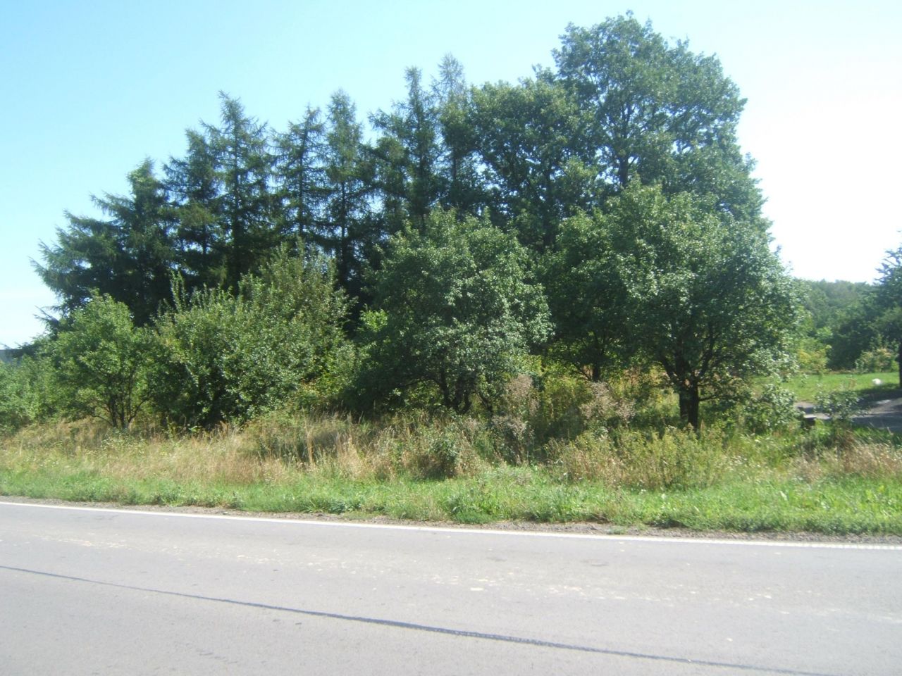 Działka budowlana Zrąb. Zdjęcie 7