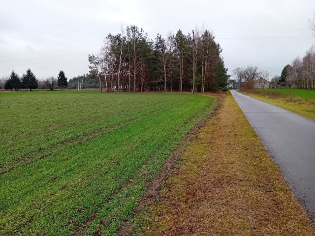 Działka budowlana Stary Budzisław. Zdjęcie 1