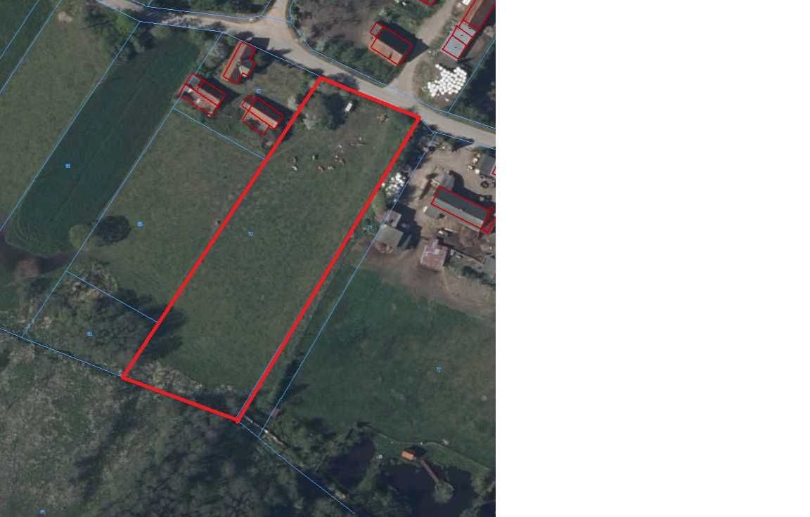 Działka rolna Stare Krzywe. Zdjęcie 5