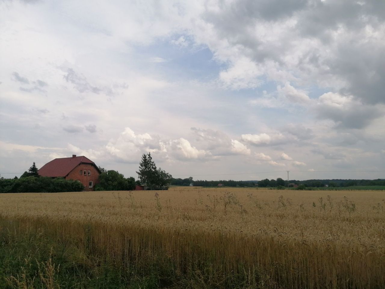 Działka budowlana Jagoszyce