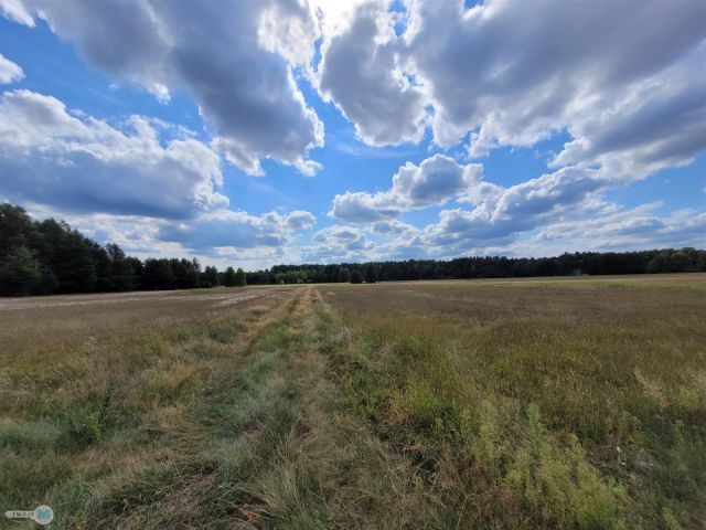 Działka rekreacyjna Stanowiska. Zdjęcie 9