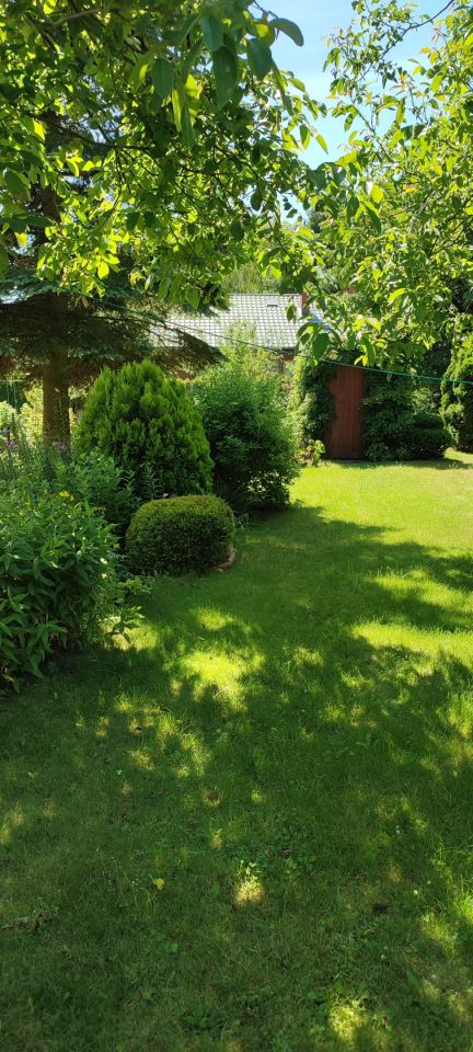 Działka rod Wrząca, ul. Wrzosowa. Zdjęcie 6