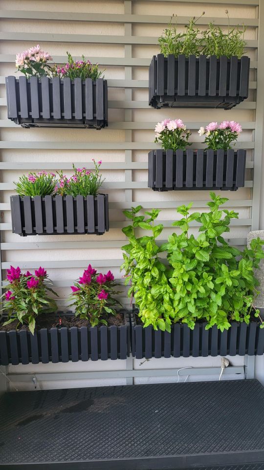 Mieszkanie 3-pokojowe Nędza, ul. Jesionowa. Zdjęcie 61