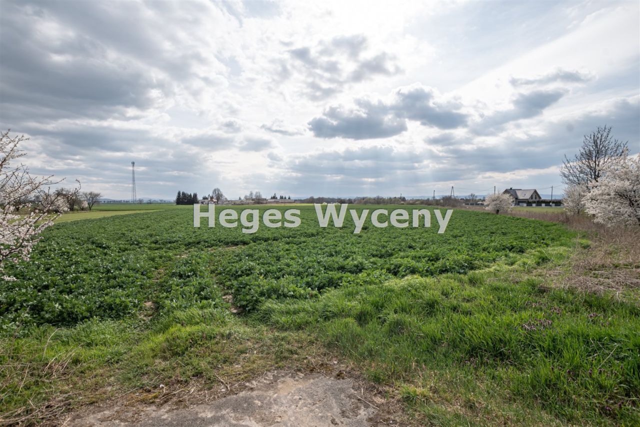 Działka inwestycyjna Snowidza. Zdjęcie 7