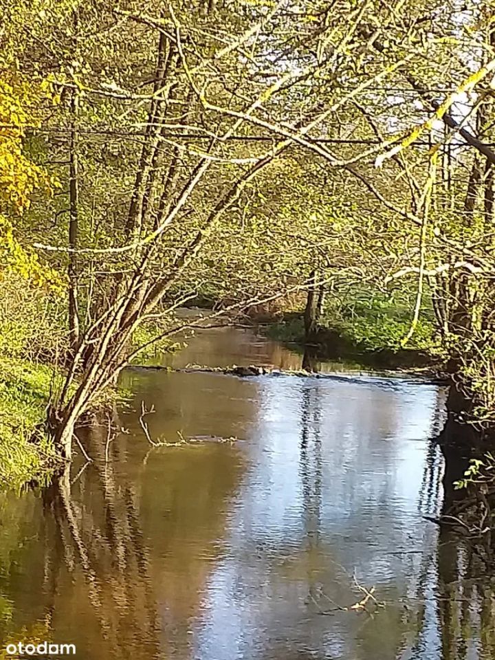 dom wolnostojący, 7 pokoi Budzieszewice. Zdjęcie 18