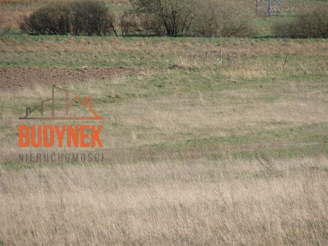Działka rolna Karsino. Zdjęcie 12