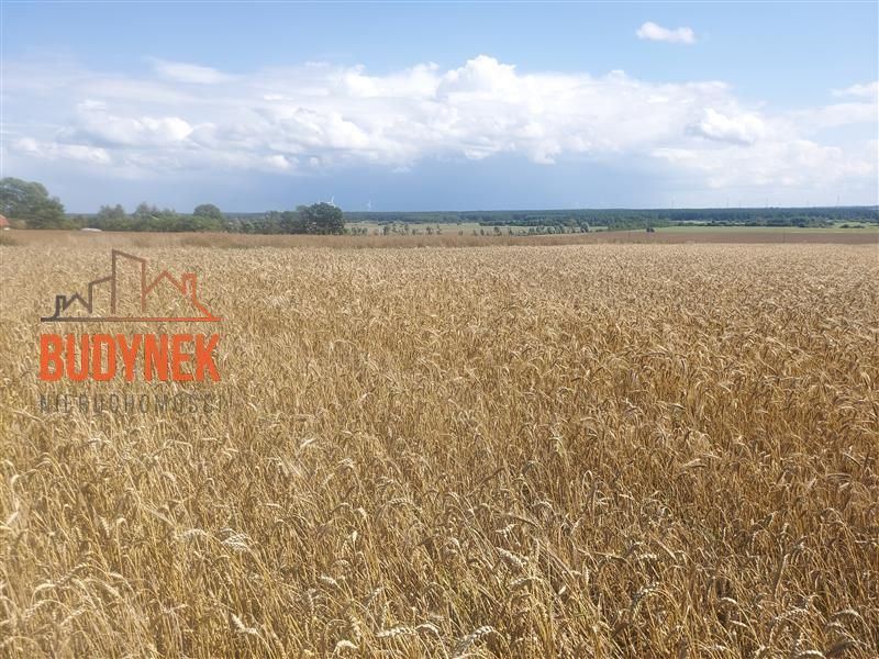Działka rolna Kopnica. Zdjęcie 8