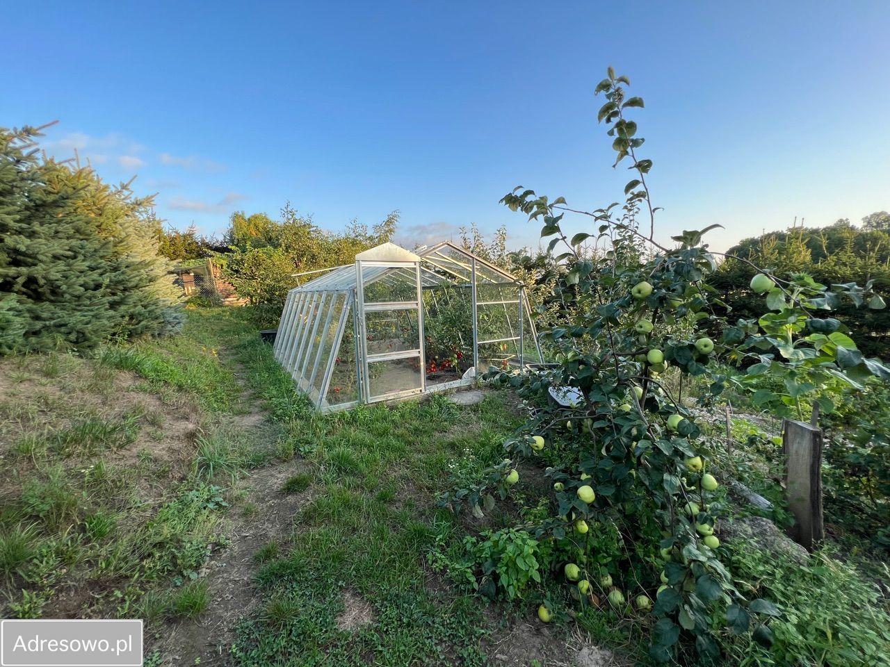 dom wolnostojący, 5 pokoi Resko. Zdjęcie 18