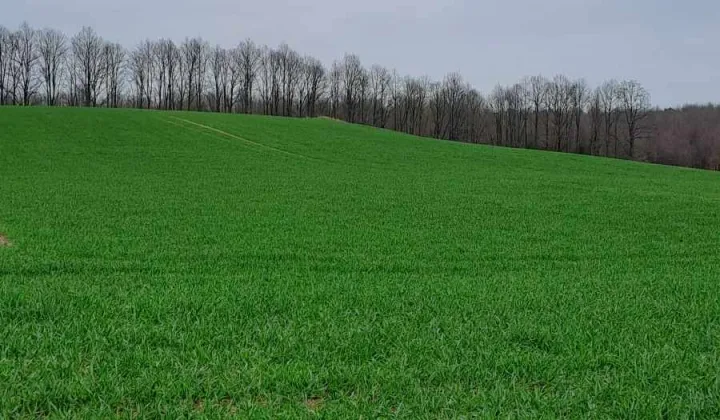 Działka budowlana Karbowo, ul. Myśliwska