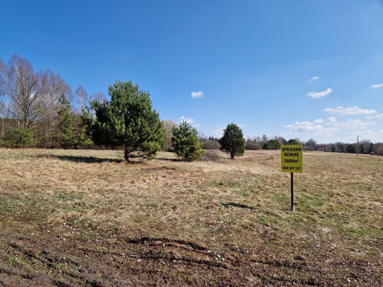 Działka rolno-budowlana Samsonów-Piechotne, ul. Jodłowa. Zdjęcie 3