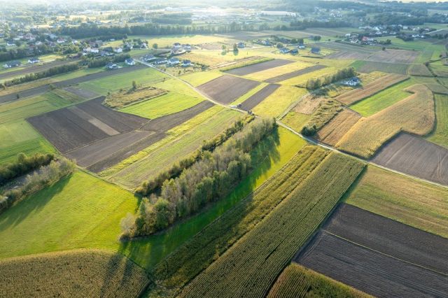 Działka budowlana Straszęcin. Zdjęcie 1