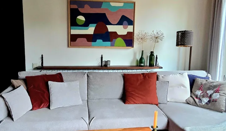 bliźniak, 5 pokoi Gliwice Śródmieście, Most Baildona