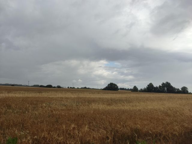Działka rolna Witków. Zdjęcie 1